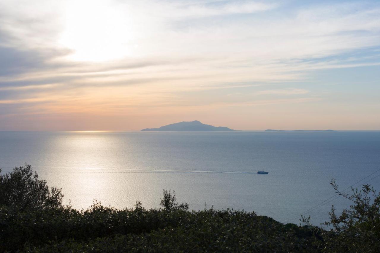 Villa Venus In Penisola Sorrentina Massa Lubrense Εξωτερικό φωτογραφία