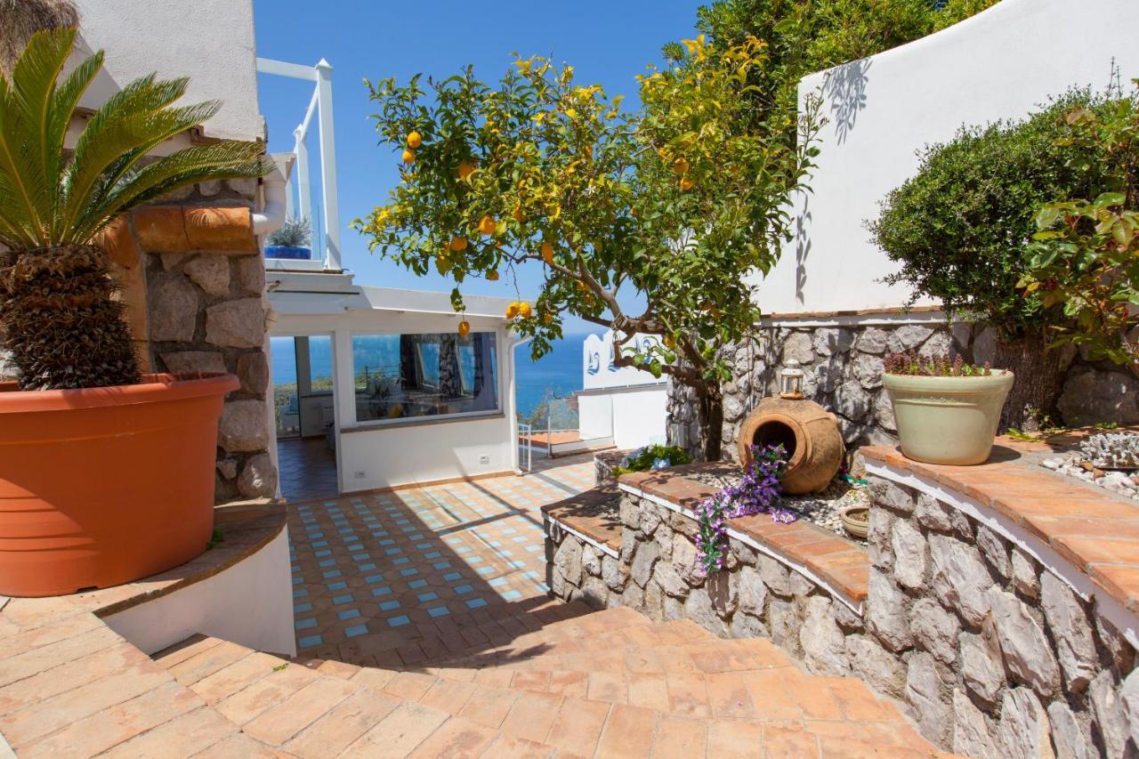 Villa Venus In Penisola Sorrentina Massa Lubrense Εξωτερικό φωτογραφία