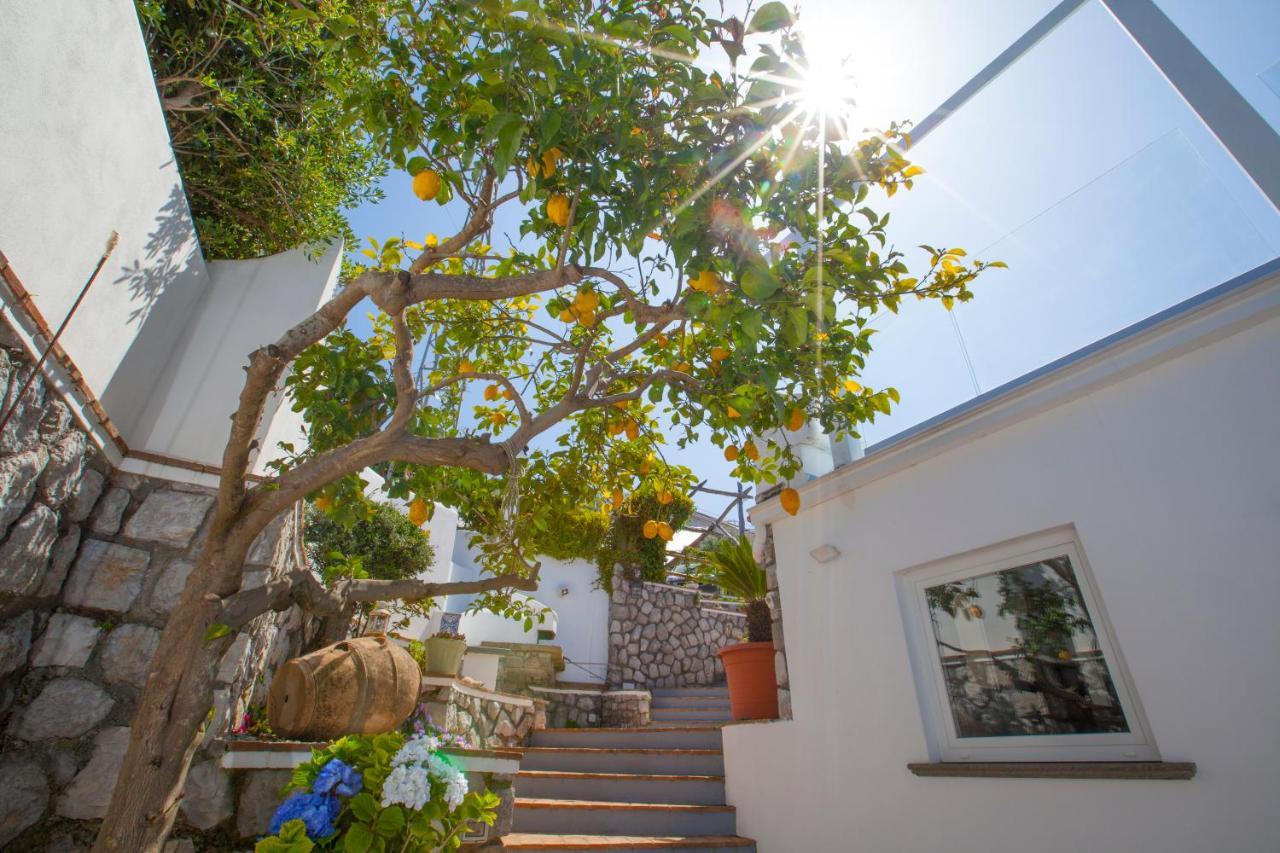 Villa Venus In Penisola Sorrentina Massa Lubrense Εξωτερικό φωτογραφία