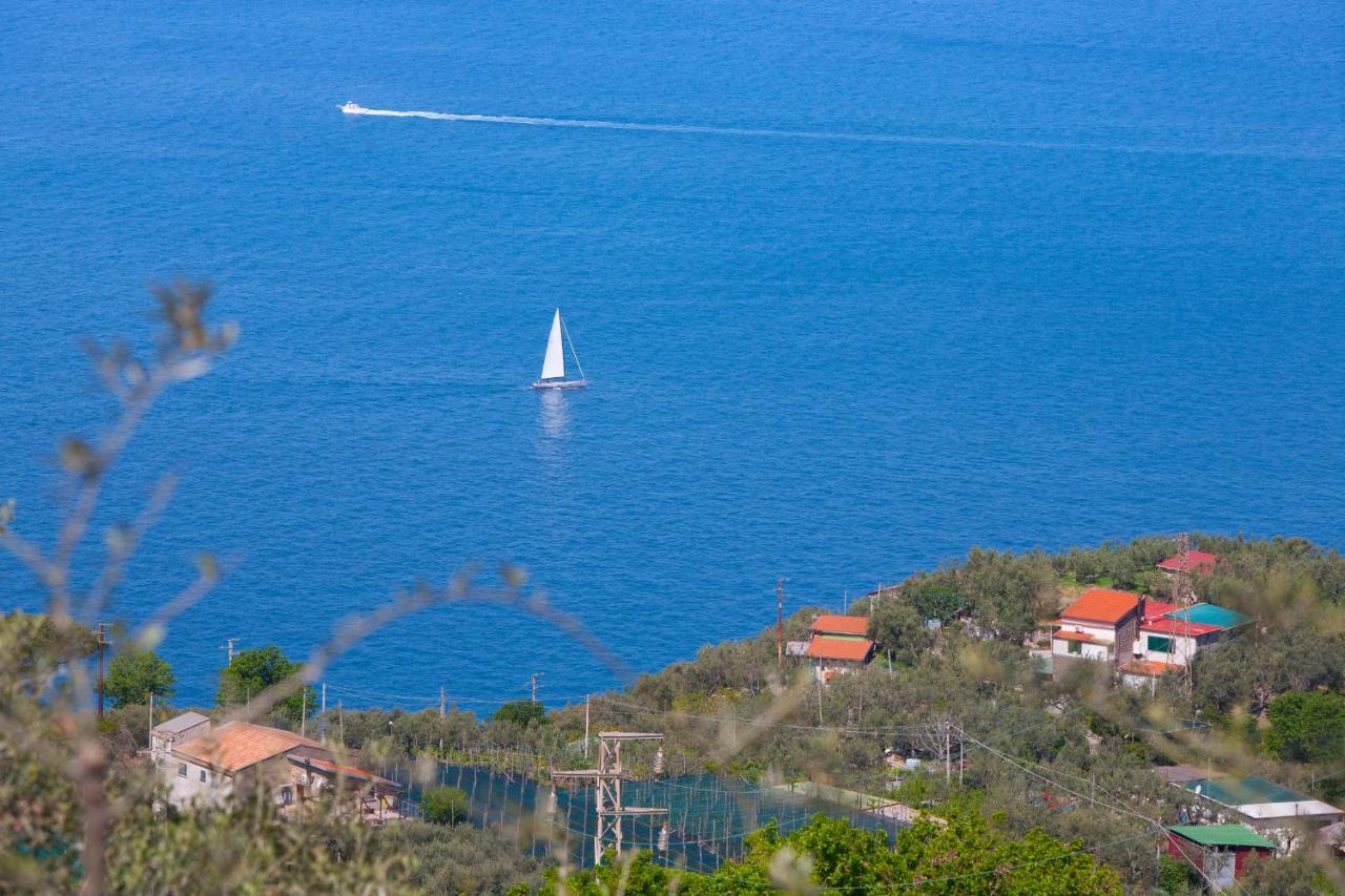 Villa Venus In Penisola Sorrentina Massa Lubrense Εξωτερικό φωτογραφία