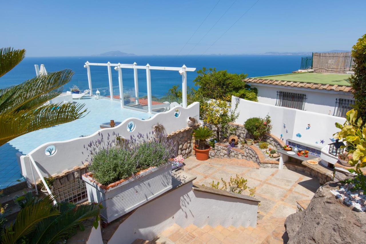 Villa Venus In Penisola Sorrentina Massa Lubrense Εξωτερικό φωτογραφία